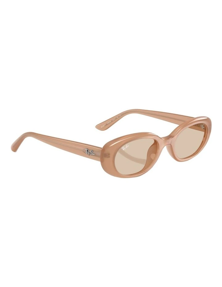 Ray-Ban RB4441D Washed Lenses Bio-Based Injected Sunglasses in Brown image 6
