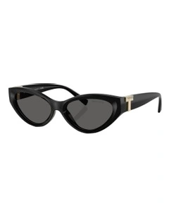 Tiffany & Co.  Injected Sunglasses in Black