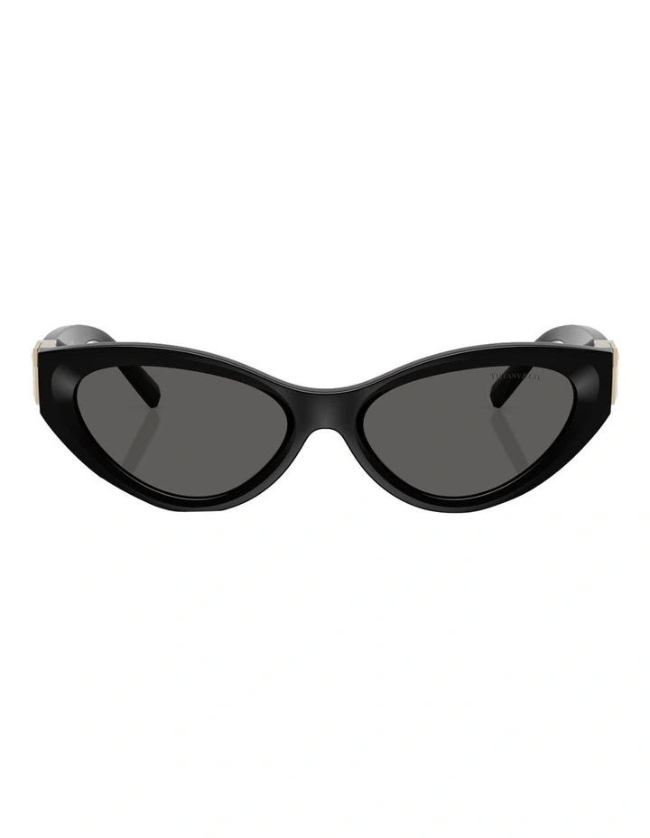 Tiffany & Co. Injected Sunglasses in Black image 2