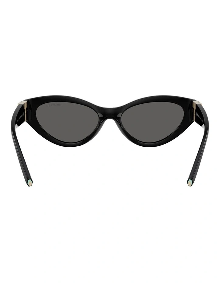 Tiffany & Co. Injected Sunglasses in Black image 4