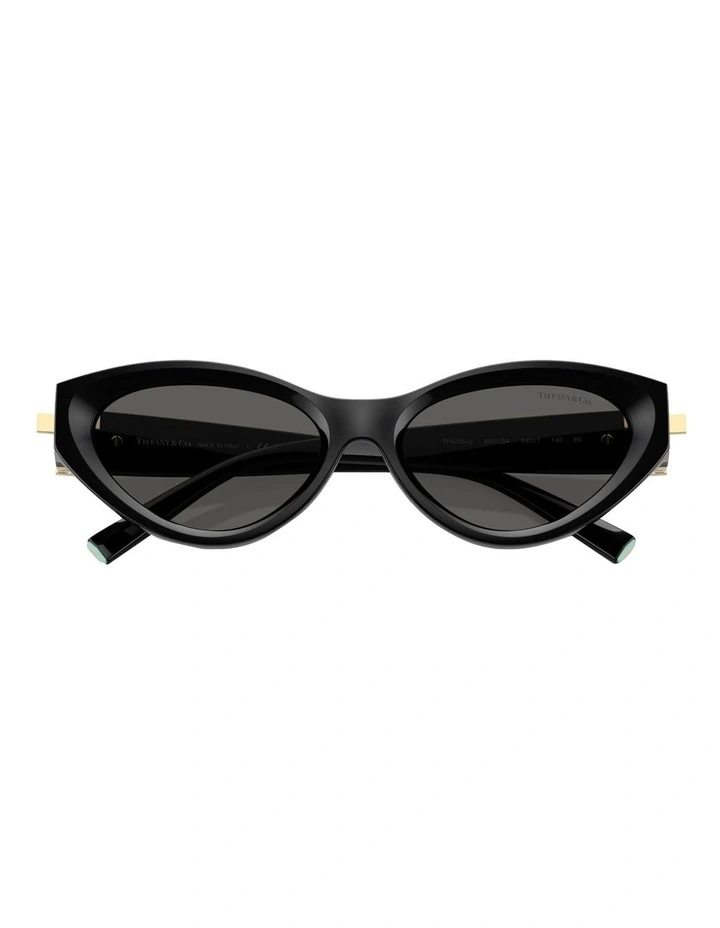 Tiffany & Co. Injected Sunglasses in Black image 5