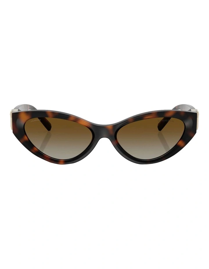 Tiffany & Co. Injected Polarised Sunglasses in Tortoise image 2