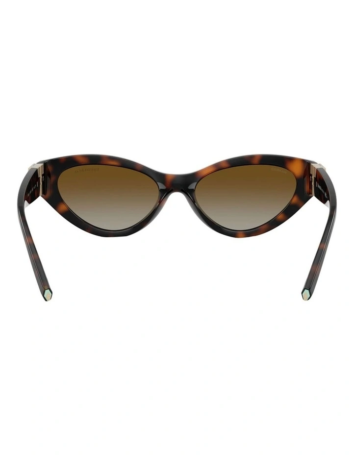 Tiffany & Co. Injected Polarised Sunglasses in Tortoise image 4