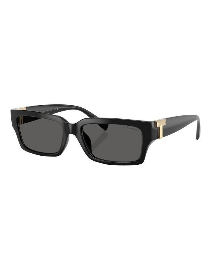 Tiffany & Co. Injected Sunglasses in Black image 1