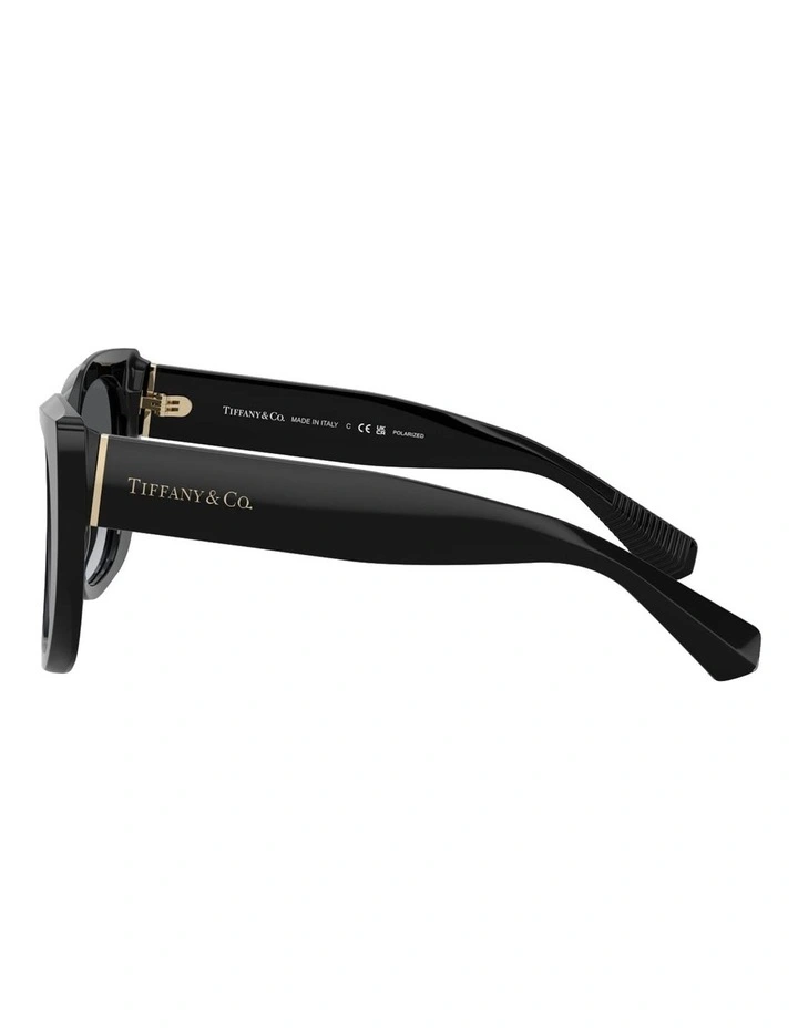 Tiffany & Co.  Acetate Polarised Sunglasses in Black image 3