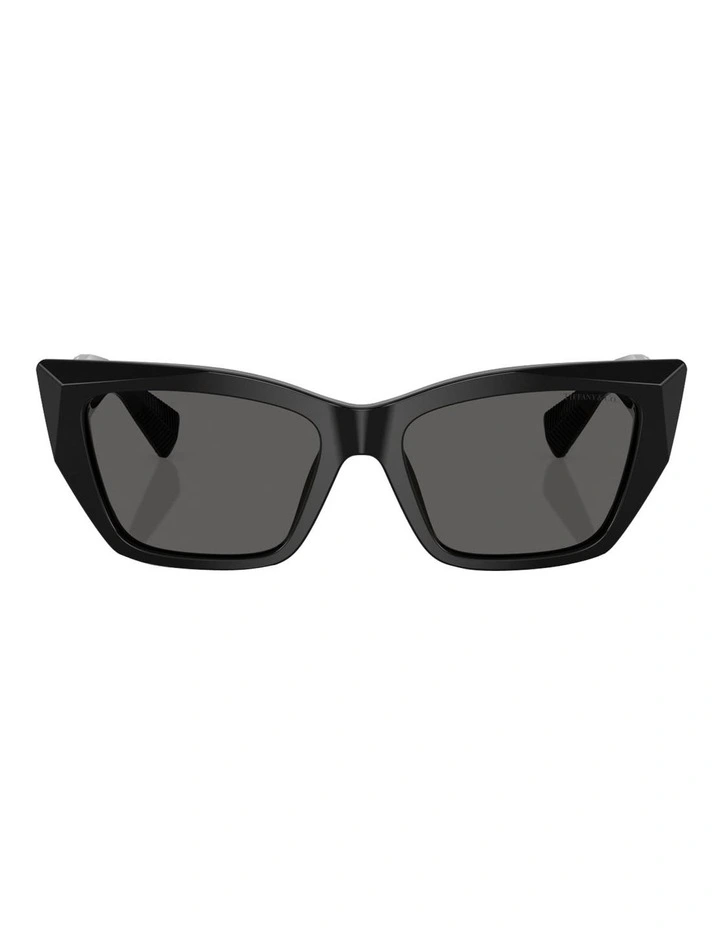 Tiffany & Co. Acetate Sunglasses in Black image 2