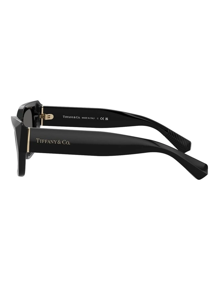 Tiffany & Co. Acetate Sunglasses in Black image 3