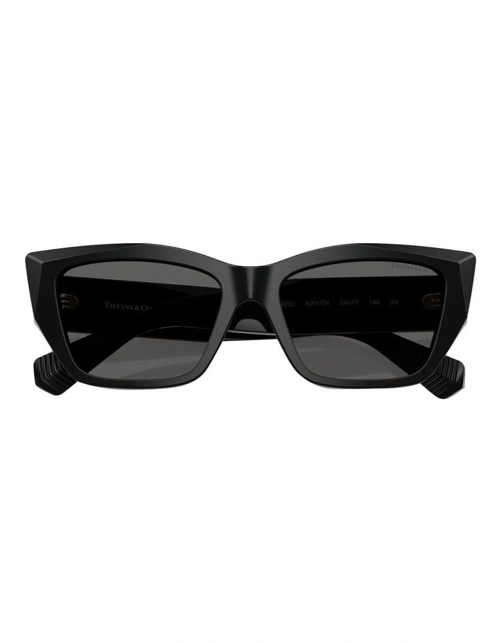 Tiffany & Co. Acetate Sunglasses in Black image 5