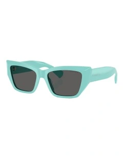 Tiffany & Co.  Acetate Sunglasses in Blue