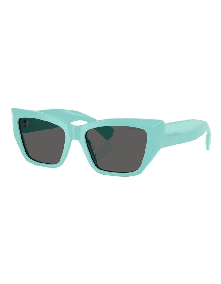 Tiffany & Co.  Acetate Sunglasses in Blue image 1