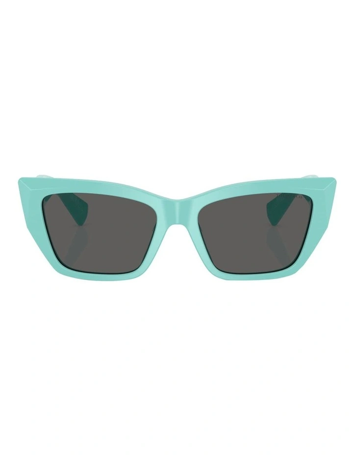 Tiffany & Co.  Acetate Sunglasses in Blue image 2