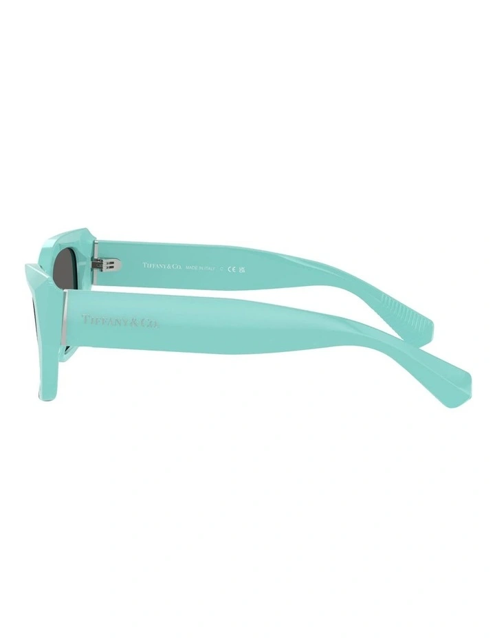 Tiffany & Co.  Acetate Sunglasses in Blue image 3