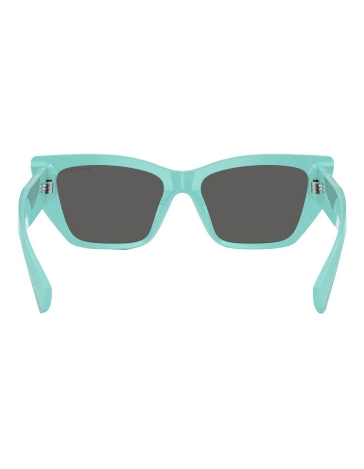 Tiffany & Co. Acetate Sunglasses in Blue image 4