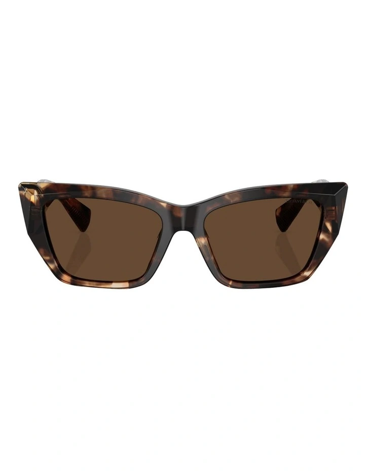 Tiffany & Co.  Acetate Sunglasses in Brown image 2