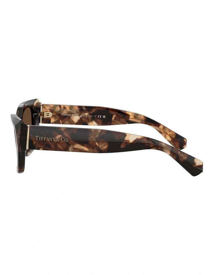Tiffany & Co.  Acetate Sunglasses in Brown image 3