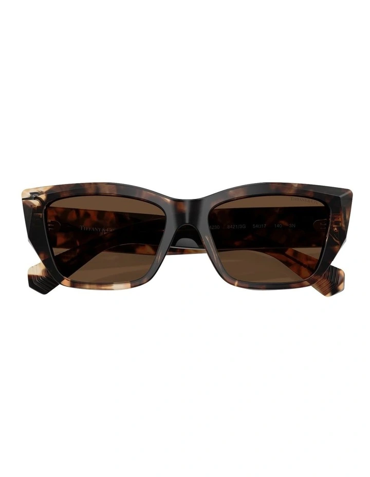 Tiffany & Co.  Acetate Sunglasses in Brown image 5