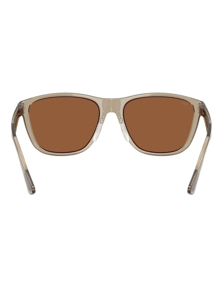Corrientes Injected Polarised Sunglasses in Brown image 4