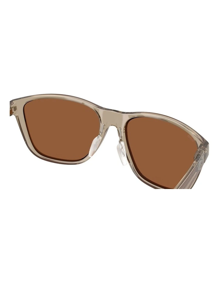Corrientes Injected Polarised Sunglasses in Brown image 7