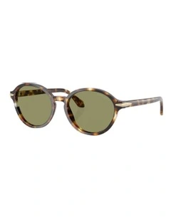 Acetate Sunglasses in Brown