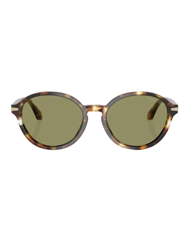 Acetate Sunglasses in Brown image 2