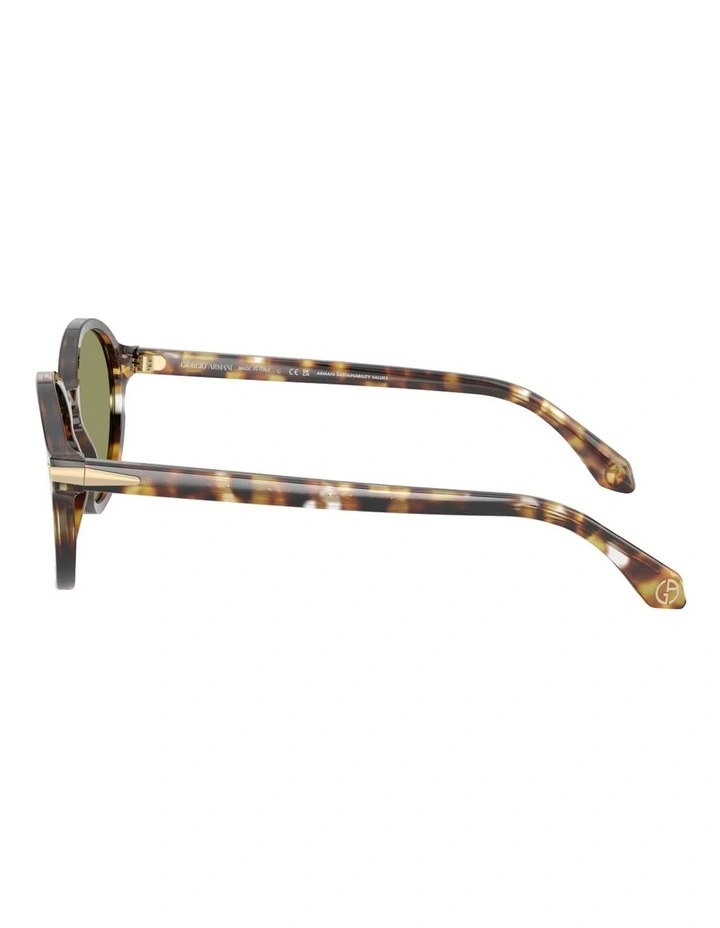 Acetate Sunglasses in Brown image 3