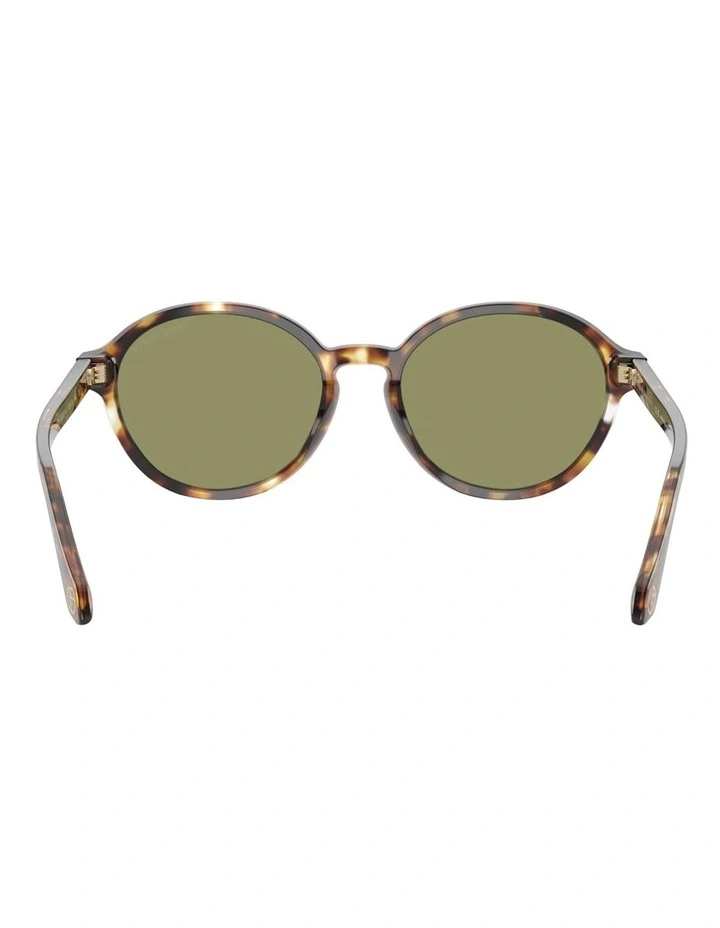 Acetate Sunglasses in Brown image 4