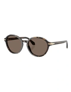 Acetate Sunglasses in Brown