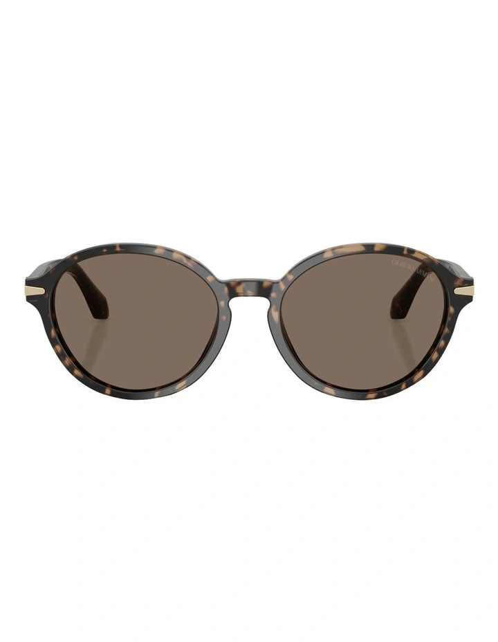 Acetate Sunglasses in Brown image 2