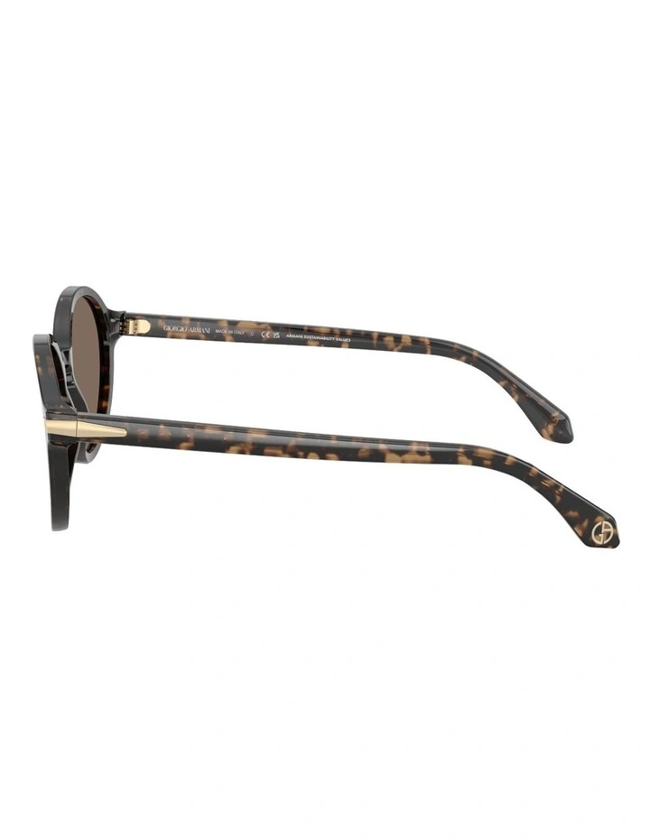 Acetate Sunglasses in Brown image 3