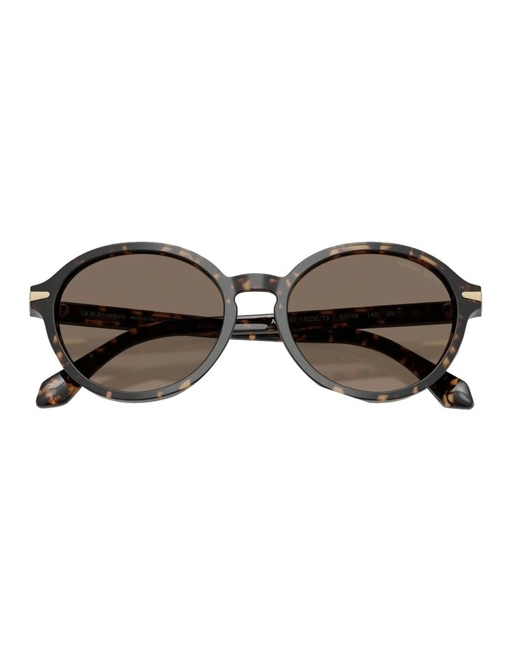 Acetate Sunglasses in Brown image 5