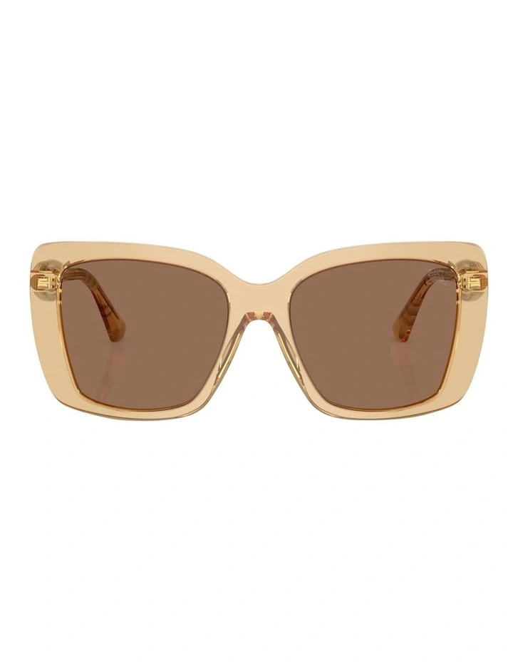 Acetate Sunglasses in Beige image 2