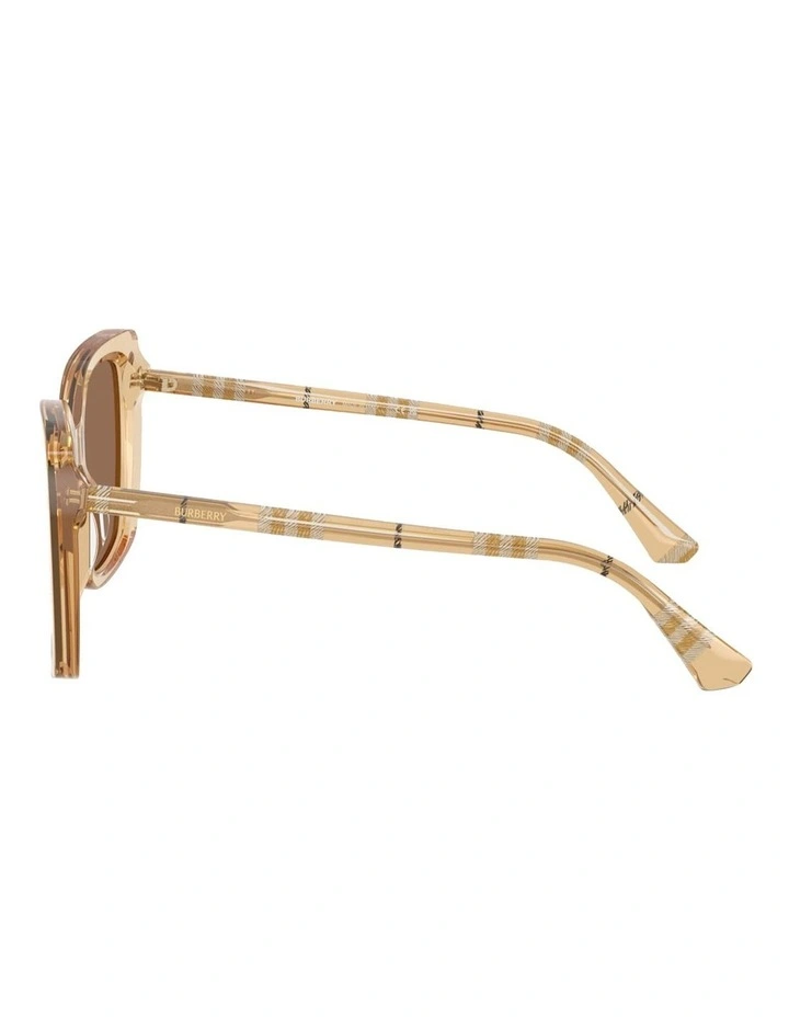 Acetate Sunglasses in Beige image 3