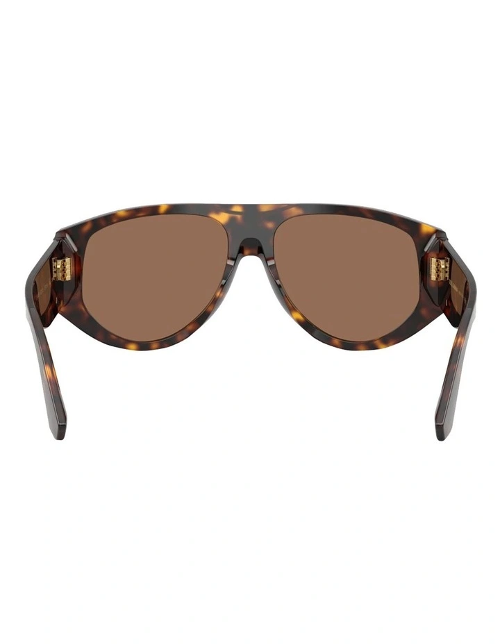 Acetate Sunglasses in Havana image 4