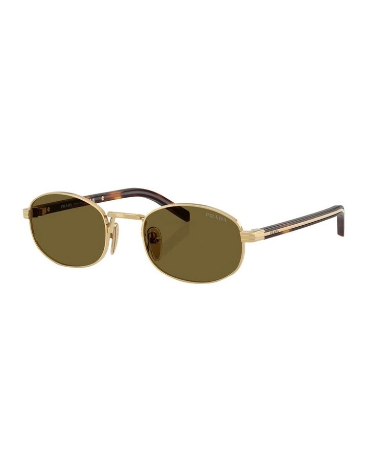 Steel Sunglasses in Gold image 1