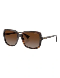 Acetate Polarised Sunglasses in Tortoise