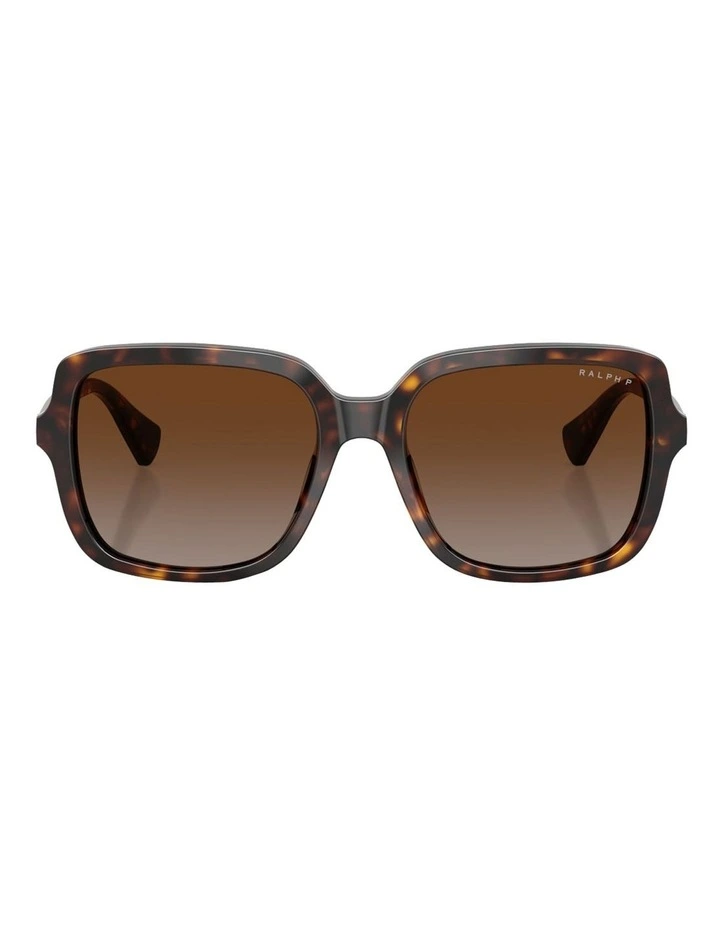 Acetate Polarised Sunglasses in Tortoise image 2