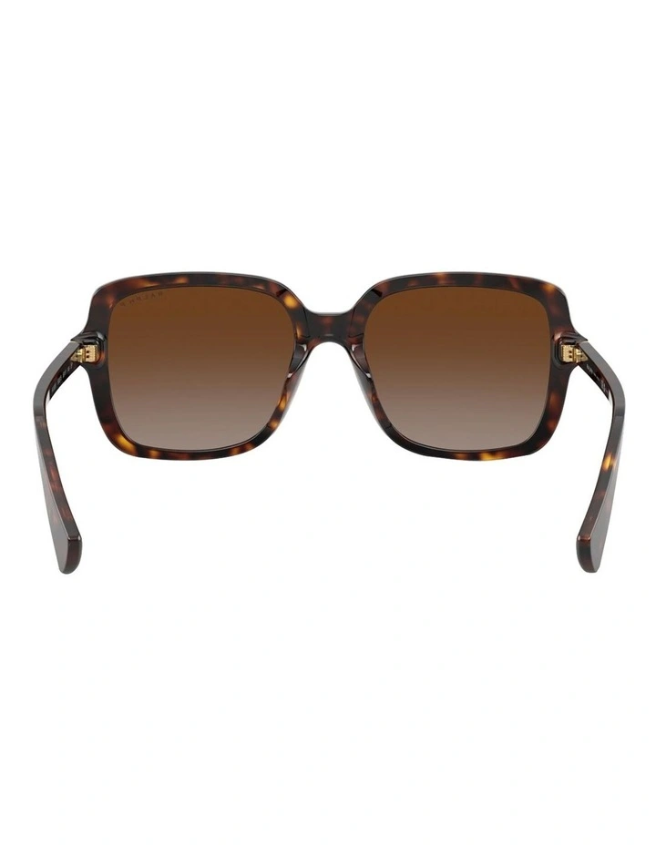 Acetate Polarised Sunglasses in Tortoise image 4