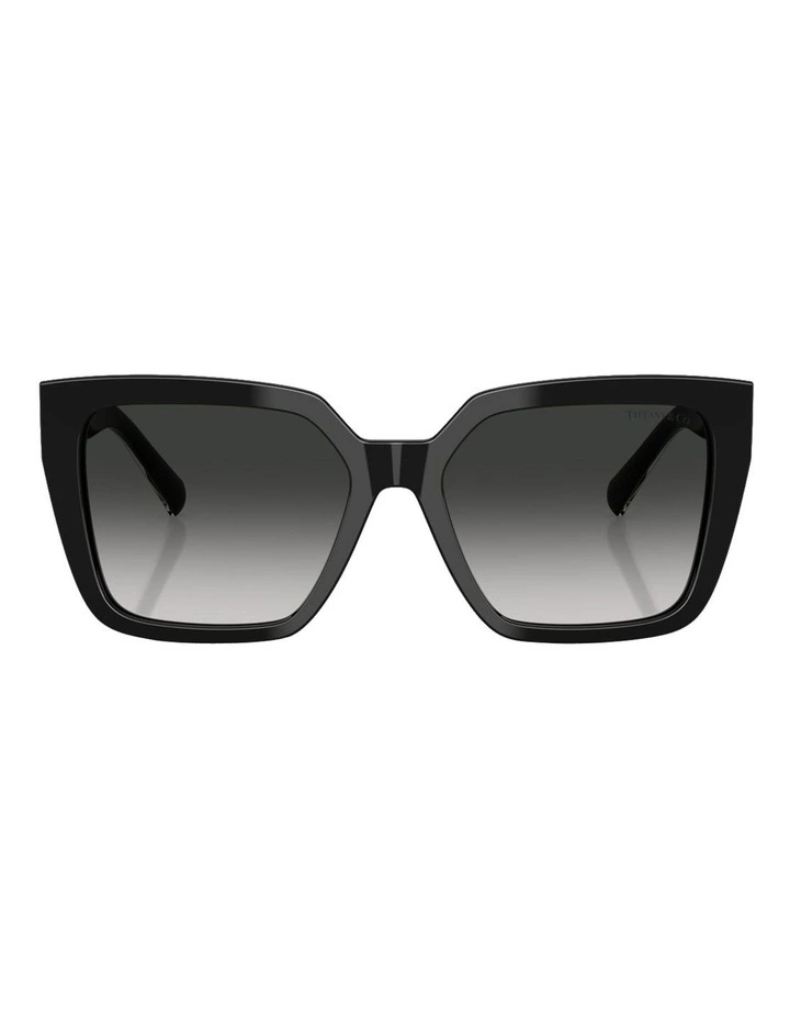 Acetate Sunglasses in Black image 2