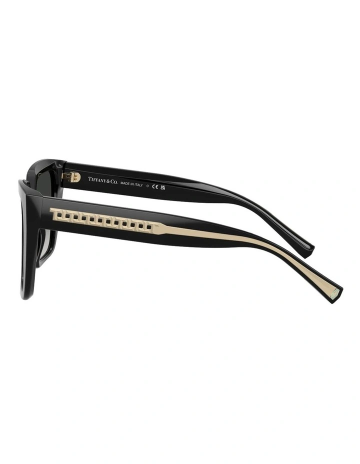Acetate Sunglasses in Black image 3