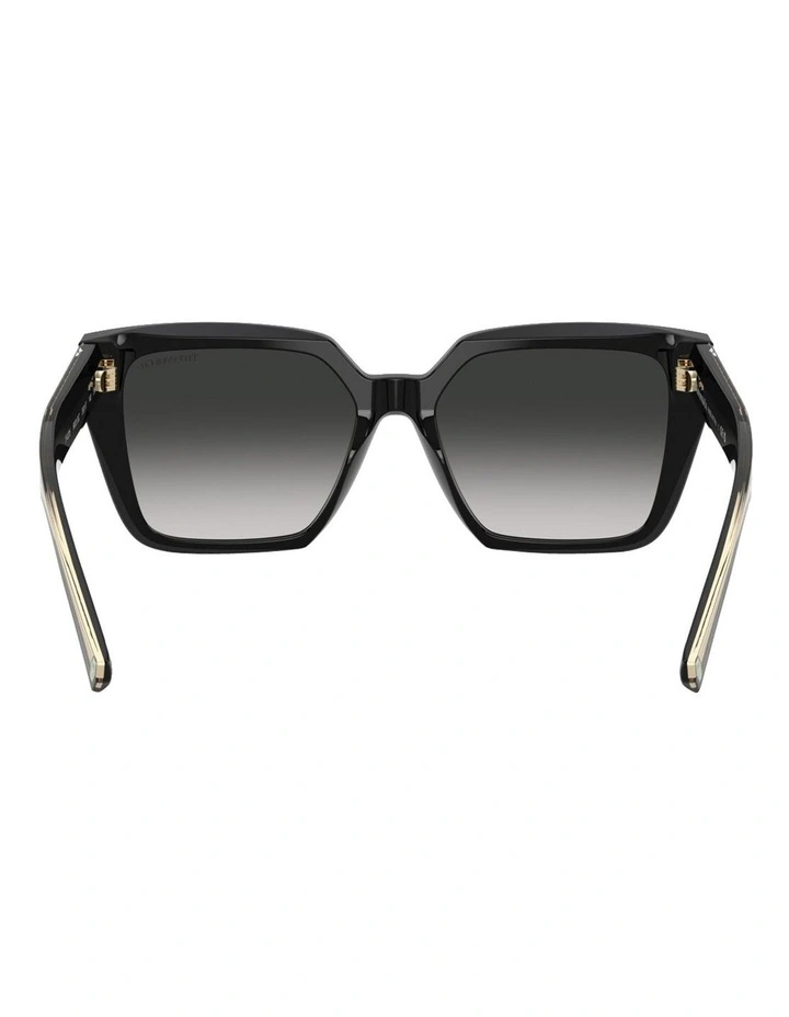 Acetate Sunglasses in Black image 4