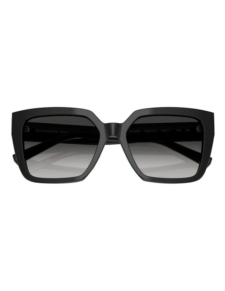 Acetate Sunglasses in Black image 5