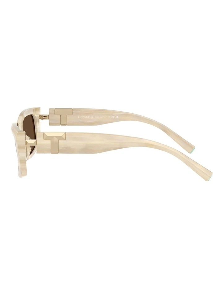 Acetate Sunglasses in Beige image 3