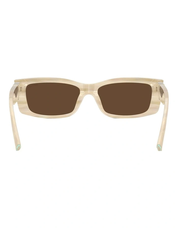 Acetate Sunglasses in Beige image 4