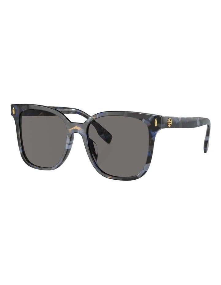 Acetate Polarised Sunglasses in Blue image 1
