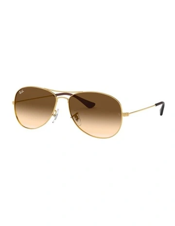 Cockpit Gold RB3362 Sunglasses