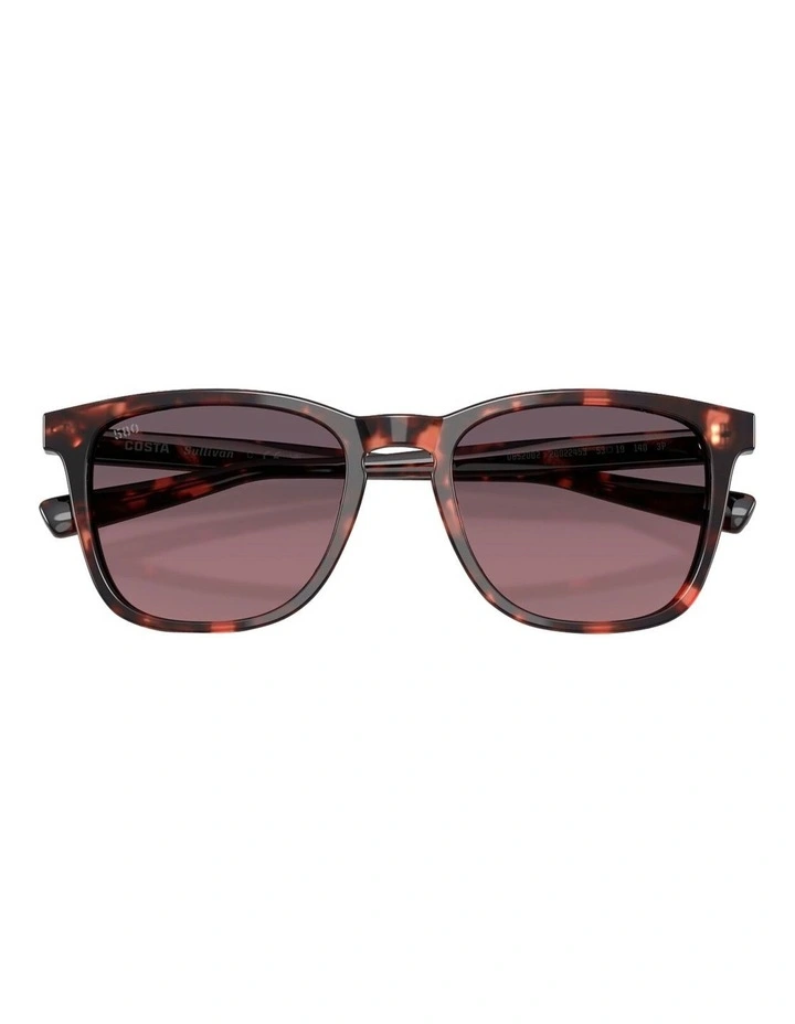 Sullivan Acetate Polarised Sunglasses in Tortoise image 4