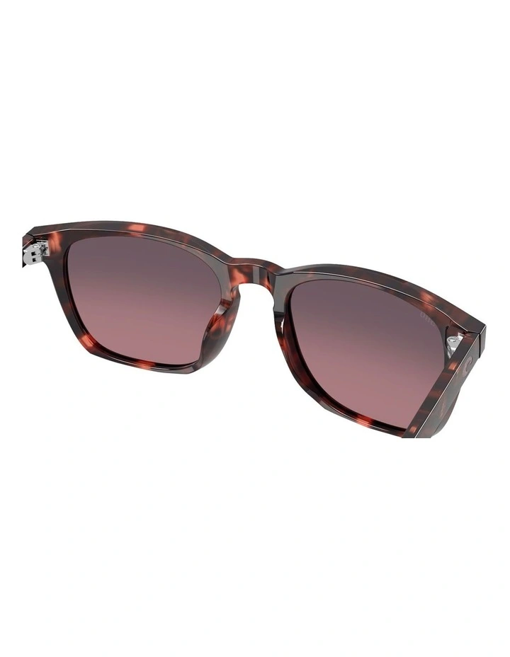 Sullivan Acetate Polarised Sunglasses in Tortoise image 7