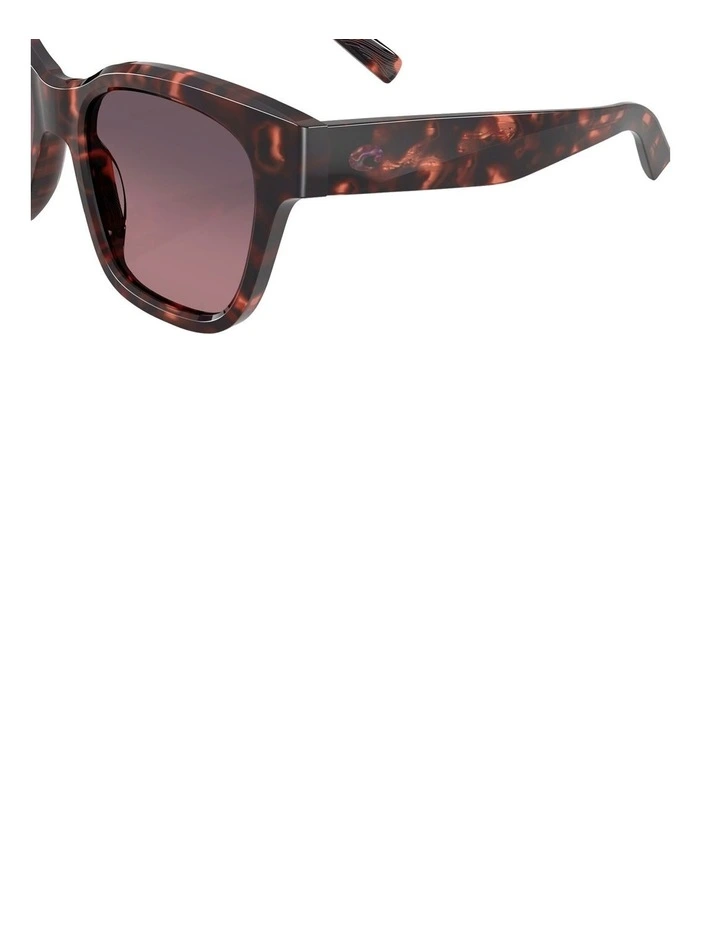 Nusa Acetate Polarised Sunglasses in Tortoise image 6