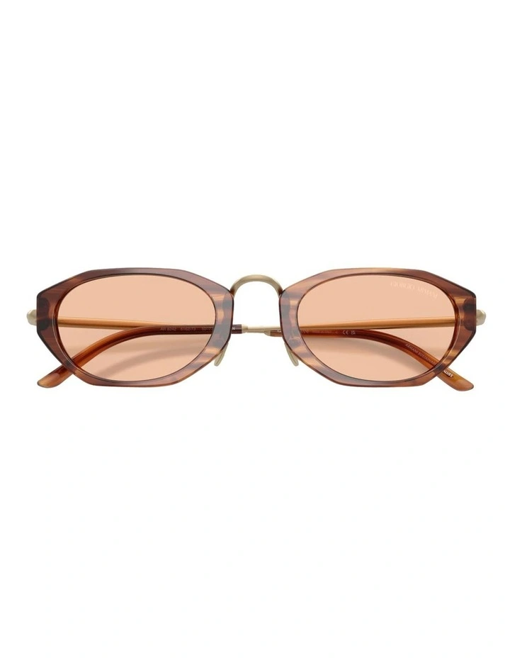 Acetate Sunglasses in Tortoise image 4