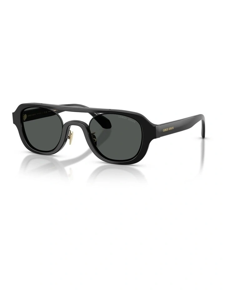 Acetate Sunglasses in Black image 1